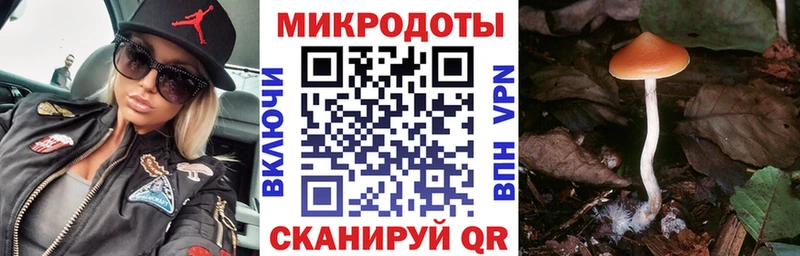 Галлюциногенные грибы Cubensis  Купить закладки  Байкальск 